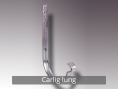 carlig_lung