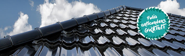 Pentru fiecare metru patrat de tigla Novatik cumparat primesti folia anticondens Delta NEO Vent GRATUIT!