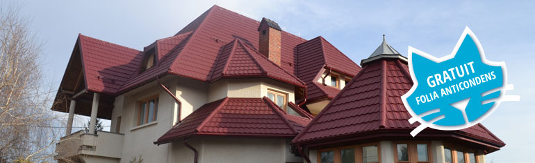 Toamna aceasta, la achizitionarea tiglei metalice Novatik, primesti GRATUIT folia anticondens Delta NEO Vent