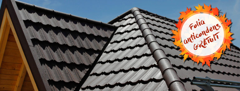 Pentru fiecare metru patrat de tigla Novatik cumparat primesti folia anticondens Delta NEO Vent GRATUIT!