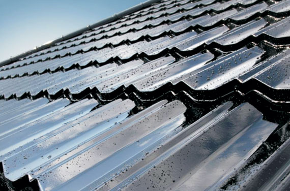 570x376_Novatik_Avangarde